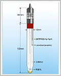 E2176 工業用耐氟酸/高鹼專用pH電極